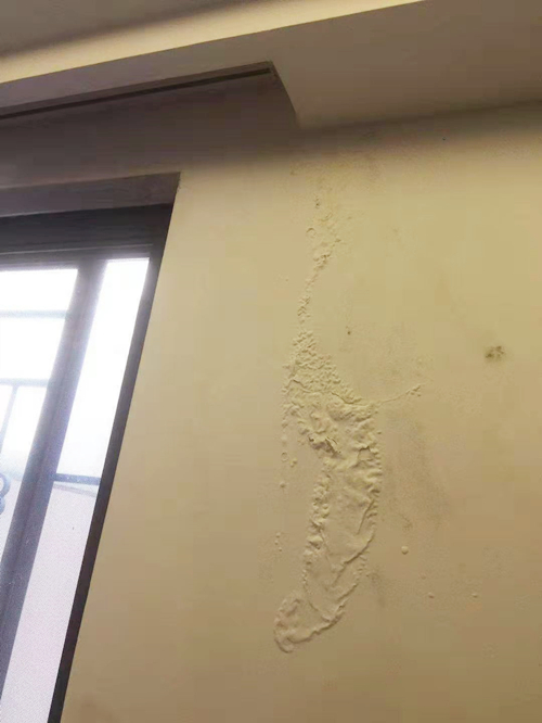 屋面渗水怎么办
