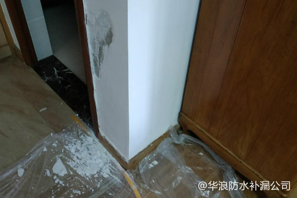 墙面返潮发霉处理