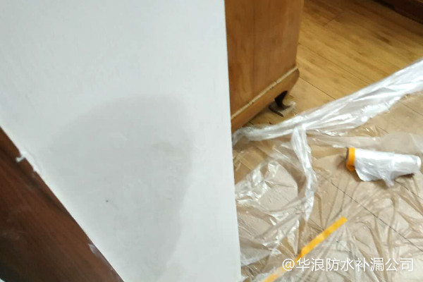 墙面返潮发霉处理