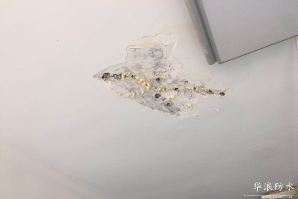 华浪防水＿防水堵漏＿屋面防水补漏