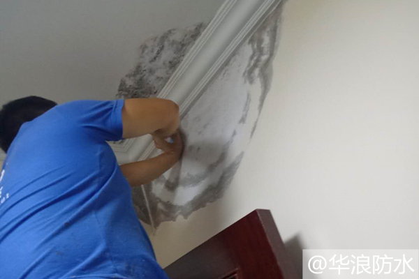 防水堵漏＿屋面防水＿防水堵漏公司