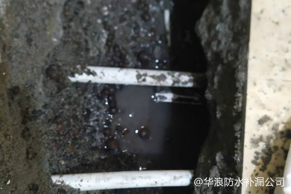 金沙洲9-2栋卫生间漏水补救工程案例