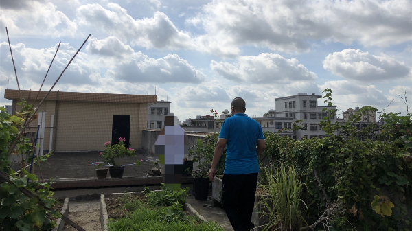 屋顶花园防水怎么做？种植屋面防水补漏流程介绍_广州防水公司